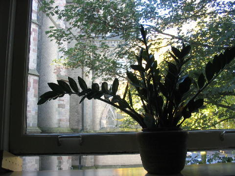 Utrecht window view